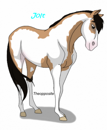 Detail Jolt