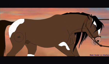 Detail Bronc