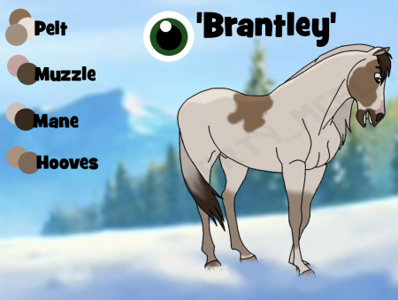 Detail Brantley