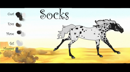 Detail Socks.