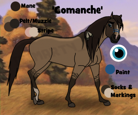 Detail Comanche.