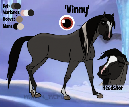 Detail Vinny (MM)