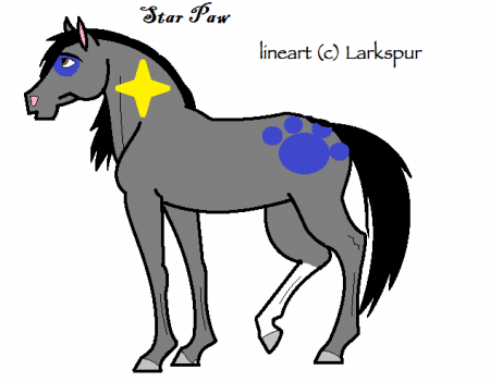 Detail Star Paw