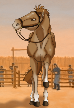 Detail Brumby Girl