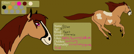 Detail bree (white stallion)