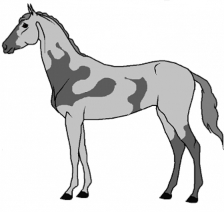Detail freedom (white stallion)