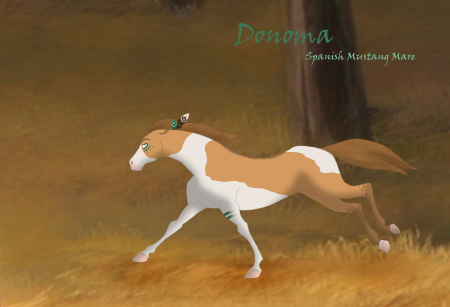 Detail .:Donoma:.