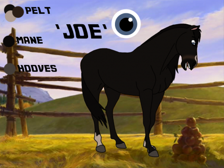 Detail Joe. 