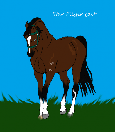Detail Star Flyer Gait