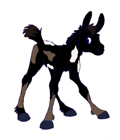 Detail Thunder (white stallion)
