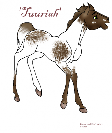 Detail Tuuriah(LL)