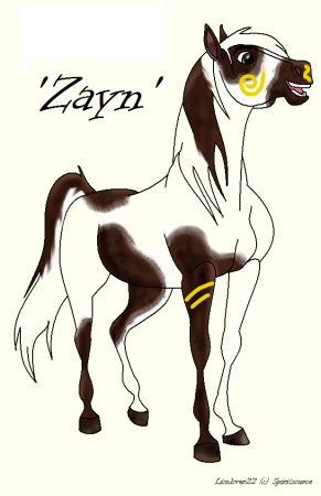 Detail Zayn(LL)
