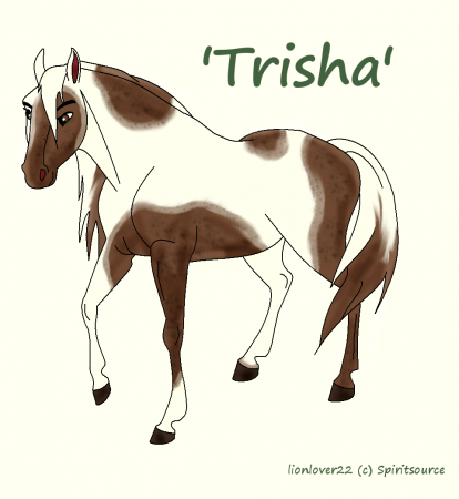 Detail Trisha(LL)