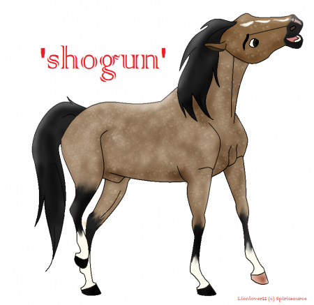 Detail Shogun(LL)