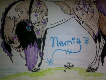 Detail Narnia (SD)