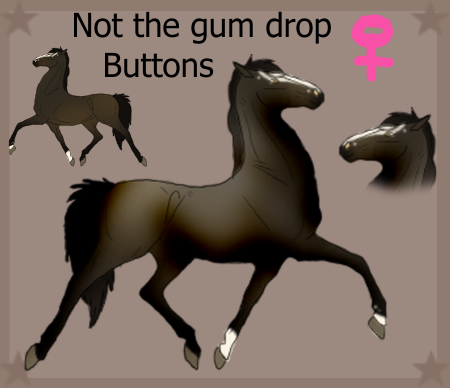 Detail Buttons