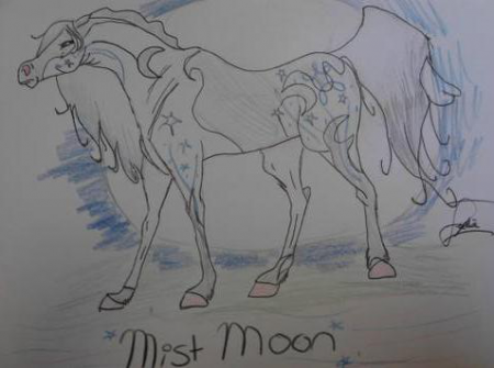 Detail Mist Moon (SD)