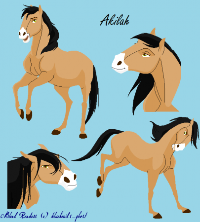 Detail Akilah