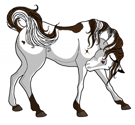 Detail Sage (white stallion)