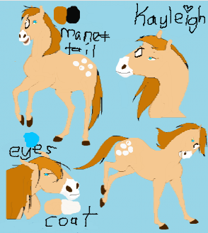 Detail Kayleigh