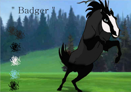 Detail Badger  ( Fox )