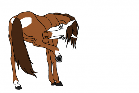 Detail Diago (Leon's horse)