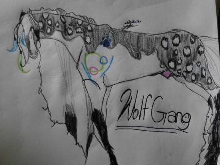 Detail Wolf Gang (SD)