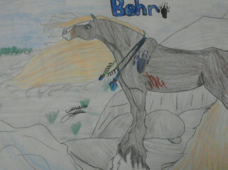 Detail Behr (SD)