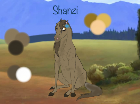 Detail Shanzi