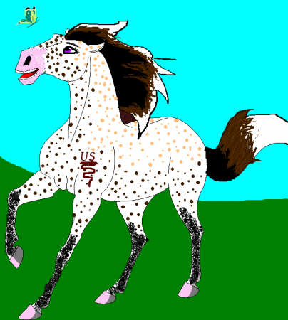Detail Sasha La Flurr (swag)
