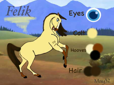 Detail Felik