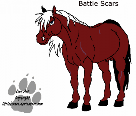 Detail :Battle Scars: