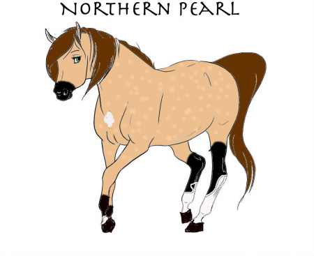 Detail Northern Pearl