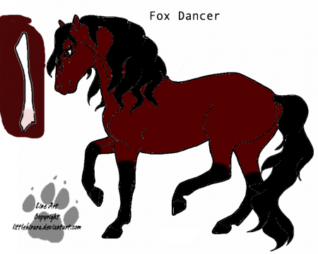 Detail Fox Dancer