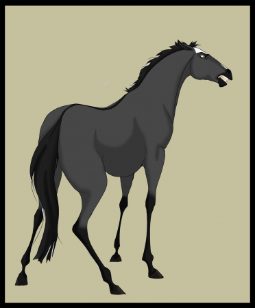 Detail Gunner, the Cimarron's Rogue