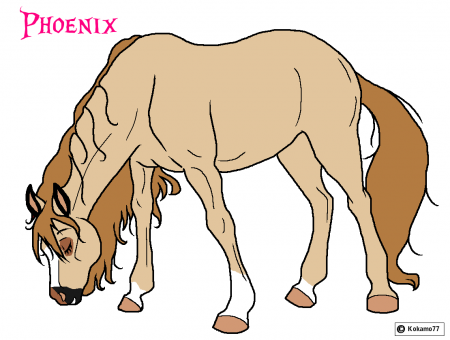 Detail Phoenix(NF)