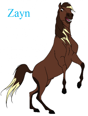 Detail Zayn