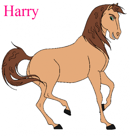 Detail Harry