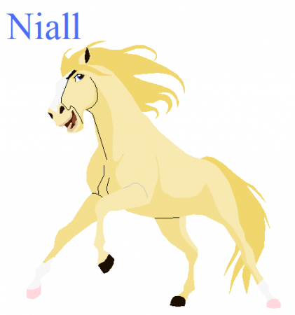 Detail Niall