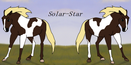 Detail Solar Star