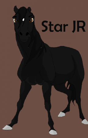 Detail Star (LKL)