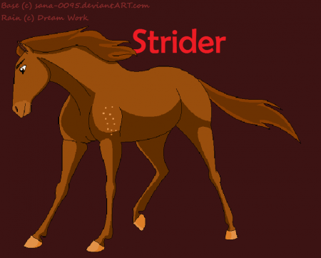 Detail Strider (LKL)