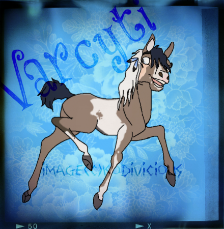 Detail Varcyti