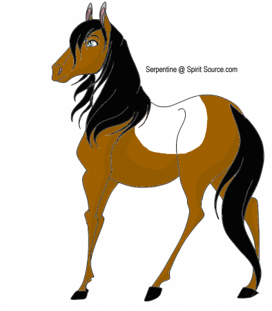 Detail Saddle (RS)
