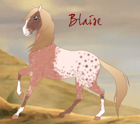 Detail Blaise