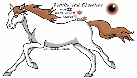 Detail Vanilla and Chocolate
