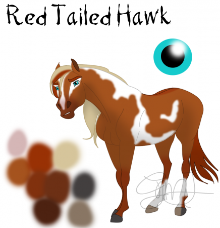 Detail Red-Tailed Hawk (GMJ)