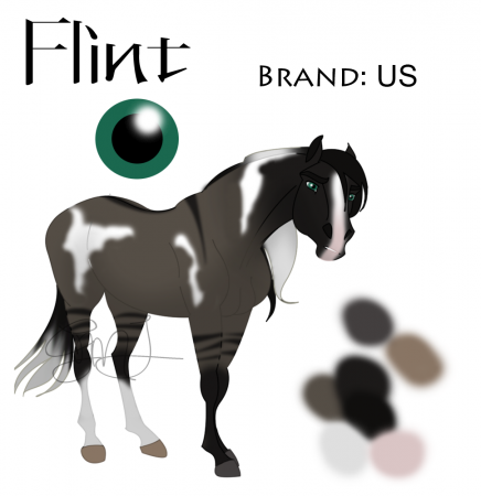 Detail Flint (GMJ)