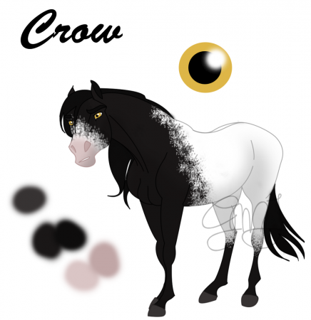 Detail Crow (GMJ)