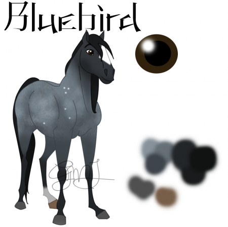 Detail Bluebird (GMJ)